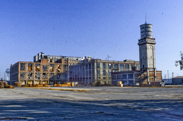 sun-maid_plant4.jpg (553.45 KiB) Viewed 36386 times sun-maid_plant4.jpg